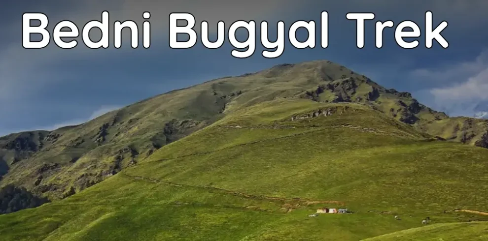 Ali Bedni Bugyal Trek Package
