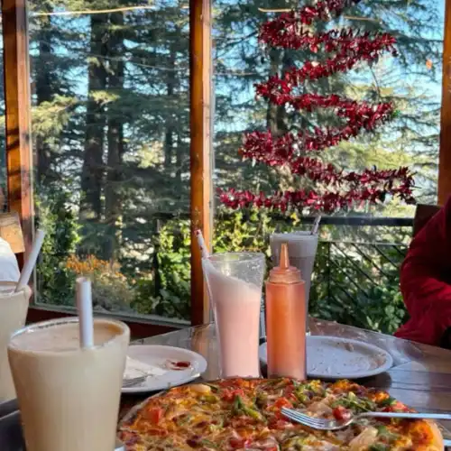 Cosy cafe interior with pizza and milkshakes placed near a window overlooking tall pine trees in Nainital.