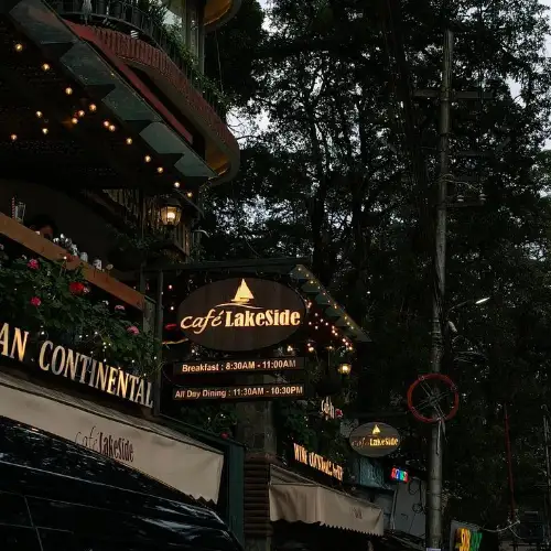 Night view of Cafe Lakeside in Nainital with a glowing signboard and decorative lights among the trees.