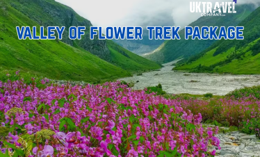 Valley Of Flower Package From Haridwar/ Rishikesh
