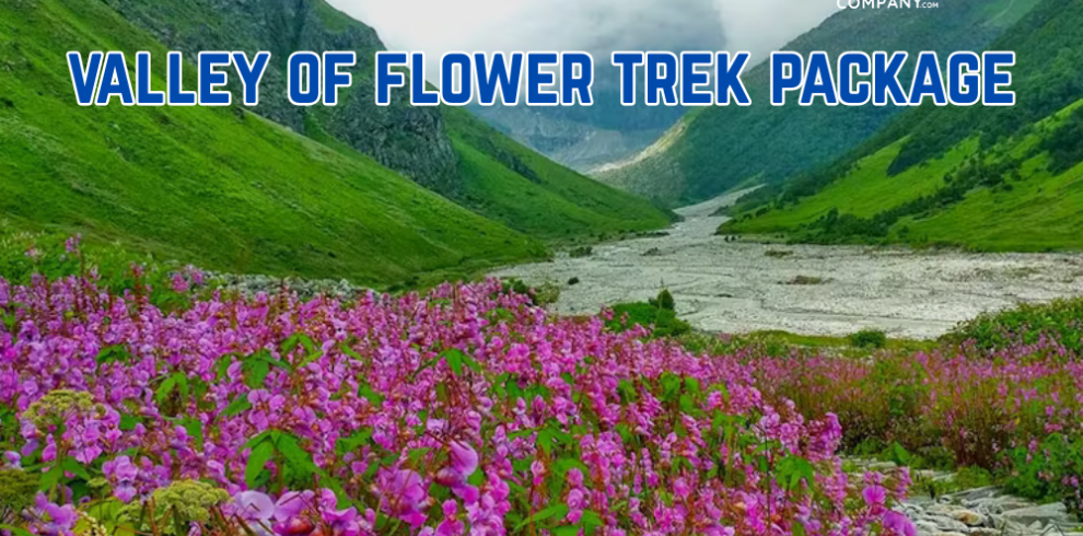 Valley Of Flower Package From Haridwar/ Rishikesh