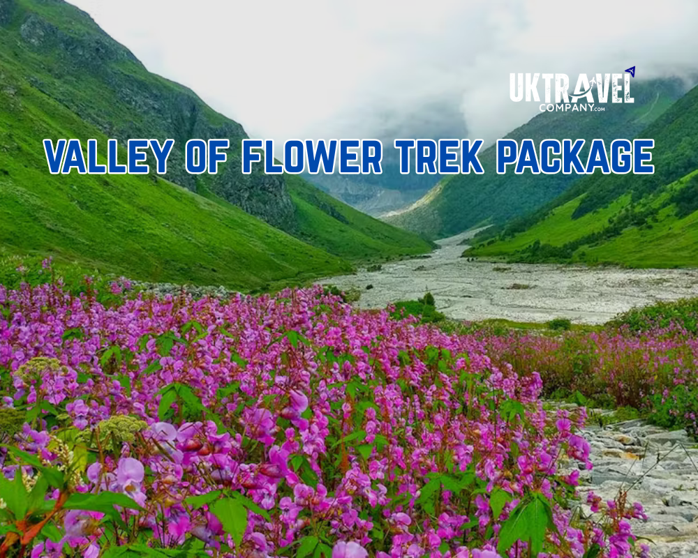 Valley Of Flower Package From Haridwar/ Rishikesh