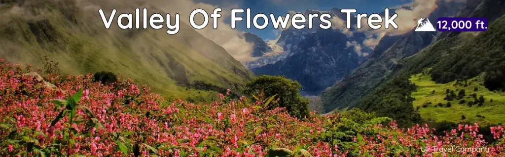 Valley Of Flowers Trek package