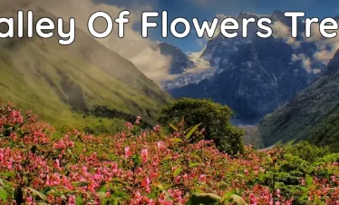 Valley Of Flowers Trek package