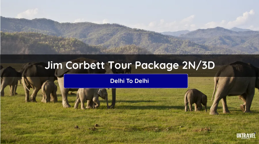Jim Corbett Tour Package