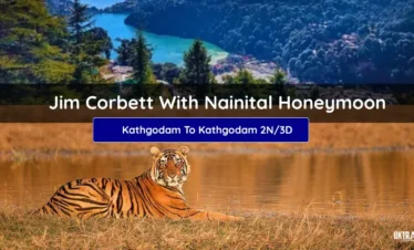 Jim Corbett honeymoon Tour Package