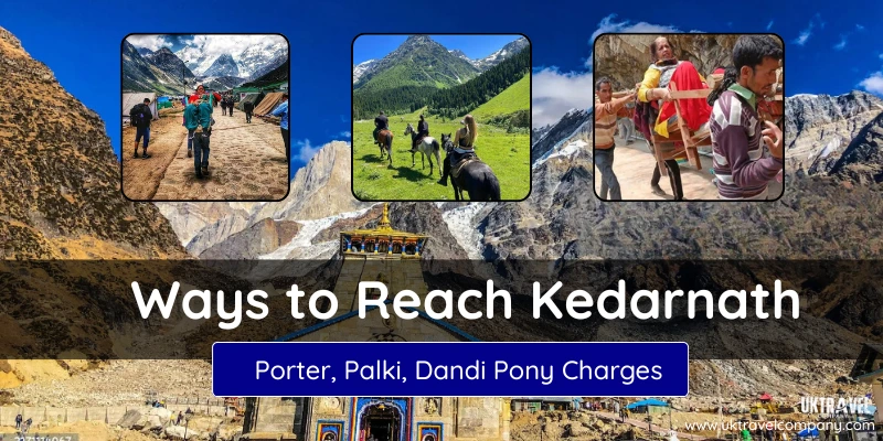 Kedarnath dandi pony charges