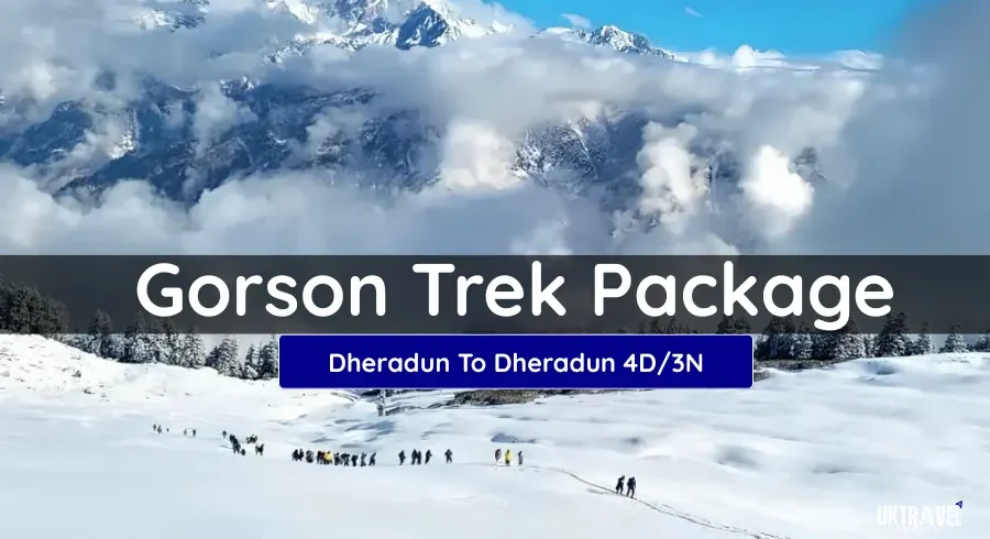 Gorson Bugyal Trek Package from Auli with snow-covered Himalayan meadows and mountain views