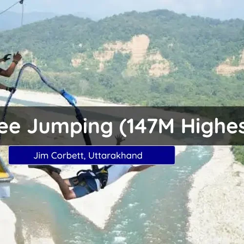 Bungee Jumping In Jim Corbett, Jim Corbett Bungee