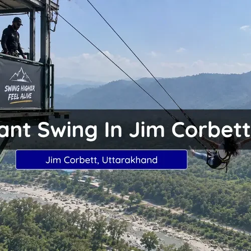 Giant Swing In Jim Corbett