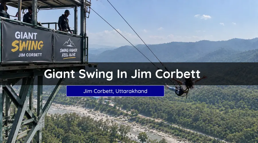 Giant Swing In Jim Corbett